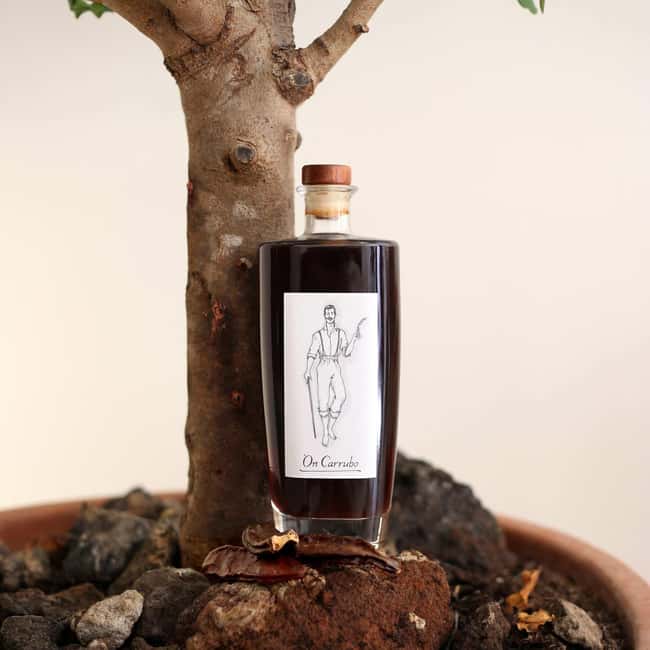 Visit the distillery of Ischia island - Key points before you go