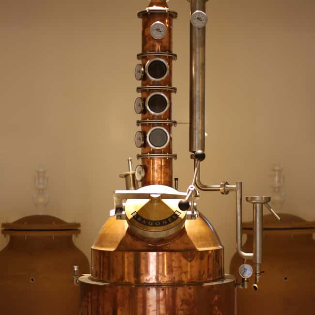 Visit the distillery of Ischia island - Your guide and the culture-focused approach