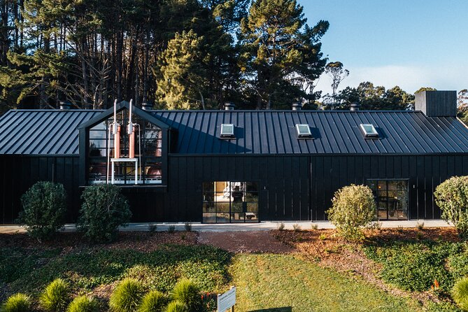 Waiheke Island: Taste&Graze Whisky Cellar Tour, Food, Olive Oil - Stop 1 at the ferry: getting matched with your guide’s plan