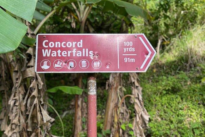 West Coast: Rum Distillery, Concord waterfall, Nutmeg processing - Concord Waterfall: Short Hike, Cool Pool, and Swims
