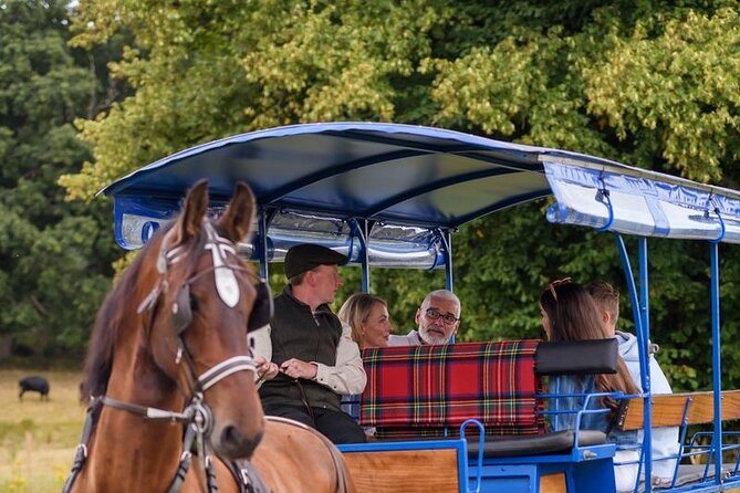 Whiskey & Wonders in Killarney - Key points to know before you go