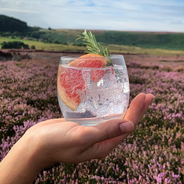 Whitby: Guided Distillery Tour with Gin Tasting - Why Whitby’s one-hour gin tour feels like real value
