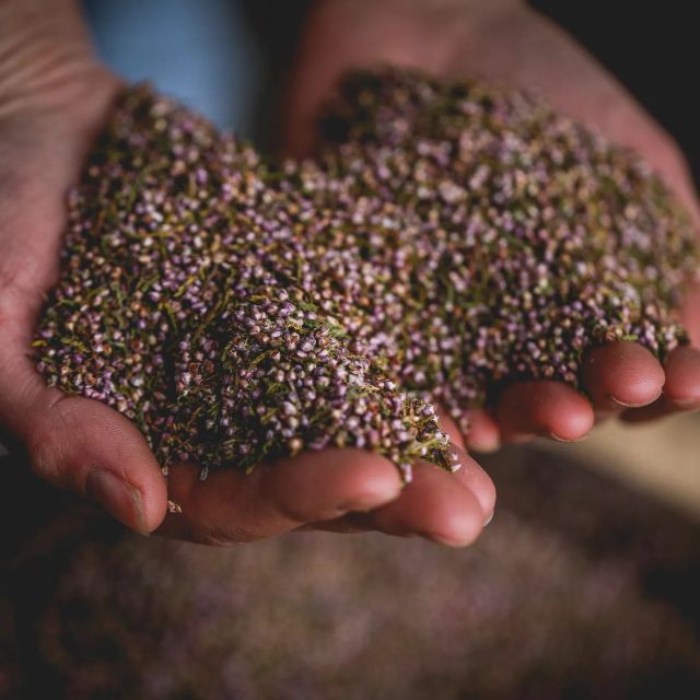 Whitby: Guided Distillery Tour with Gin Tasting - Making the most of your hour in Whitby