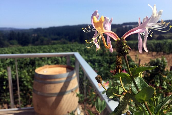 Willamette Valley Wine & Whisky - Entering Willamette Valley AVA: the whole point of this day