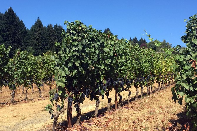 Willamette Valley Wine & Whisky - Whisky in wine country: what to expect from the spirit stop