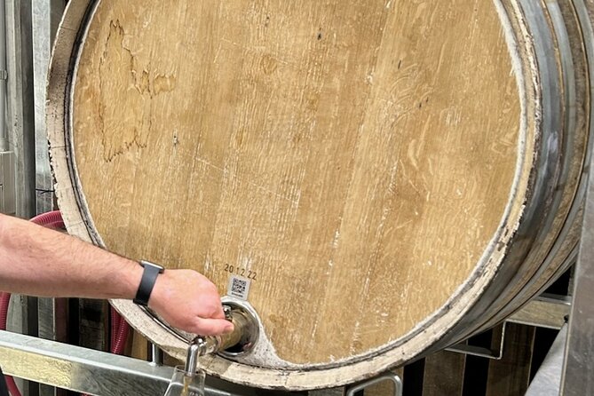 Wine, Gin & Whisky Tour - Hobart & SE Tasmania - Wicked Cheese Co.: why the final cheese tasting is the perfect reset