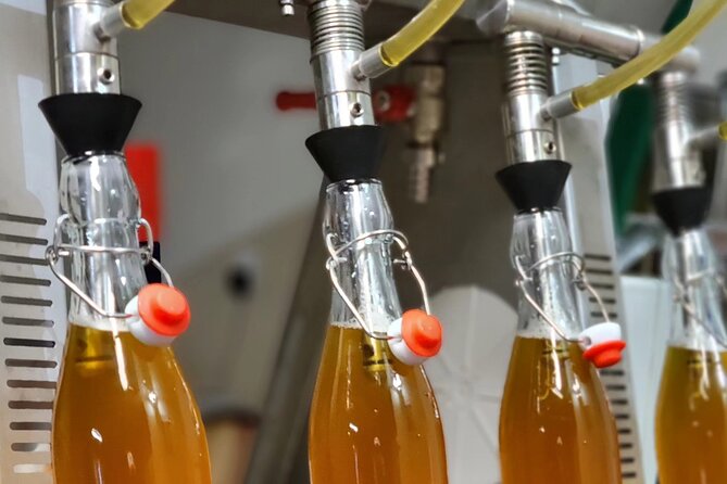 Wine & Mead Tasting, Distillery and Brewery Tour with Lunch - Who should book this Kingman wine and spirits day trip?
