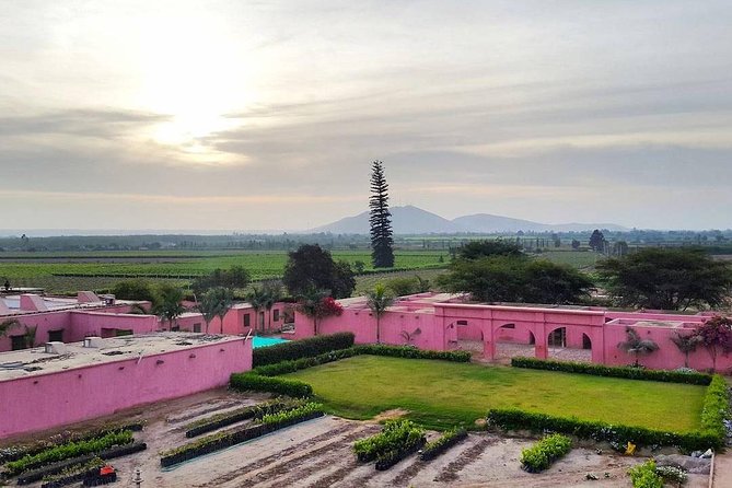 Winery and Pisco Distillery tour - Stop 1 at Hacienda Tacama: the historic anchor of the afternoon