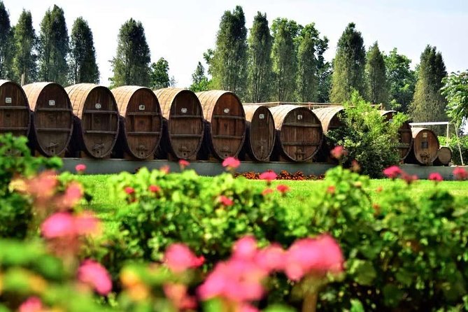 Winery and Pisco Distillery tour - Tastings, cachinas, and how to taste without getting overwhelmed