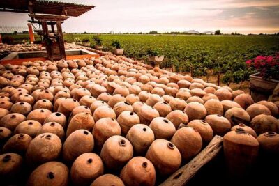 Winery and Pisco Distillery tour - Bodega Nietto: where the Gonzalez Misa legacy starts