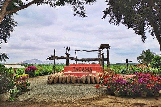 Winery and Pisco Distillery tour - Price and value: what $30.77 covers and what to budget for Tacama