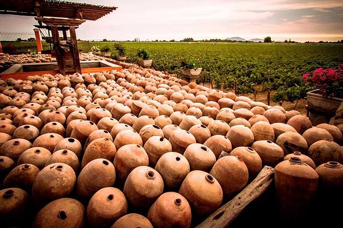 Winery and Pisco Distillery tour - Bodega Nietto: where the Gonzalez Misa legacy starts