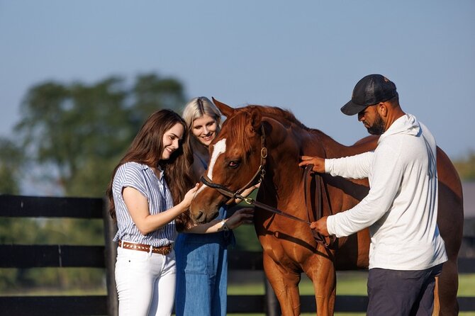 Woodford Reserve, Kismet Thoroughbred Farm & Whiskey Thief - Stop 3: Kismet Thoroughbred Farms access for horse people and non–horse people