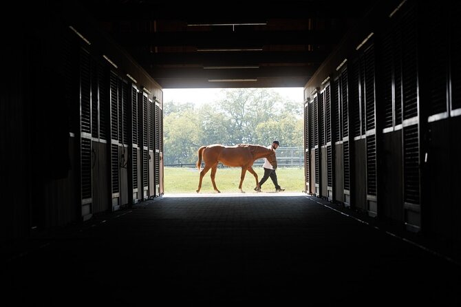 Woodford Reserve, Kismet Thoroughbred Farm & Whiskey Thief - Should you book this Woodford Reserve, Whiskey Thief, and Kismet combo?