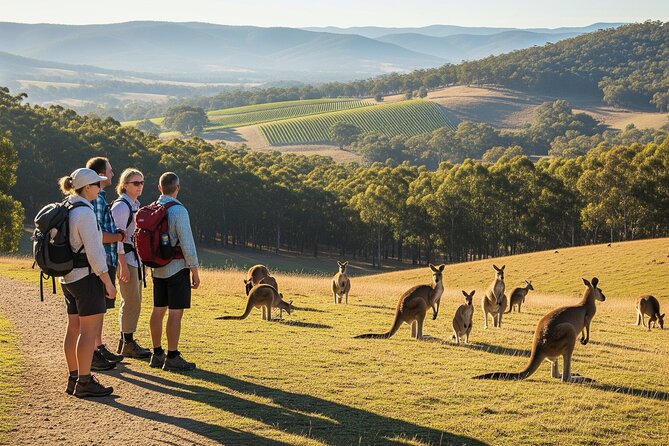 Yarra Valley by night! Private wine, whisky and dinner tour - Key things I’d plan around