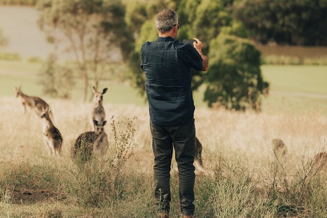 Yarra Valley by night! Private wine, whisky and dinner tour - Drinks, food, and pace: how to enjoy the tasting range without overdoing it