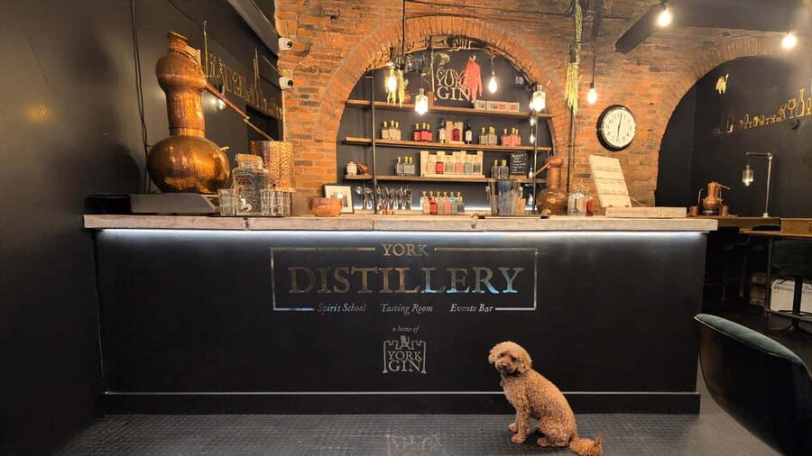 York: Gin Tasting Experience at York Distillery - Key highlights at a glance